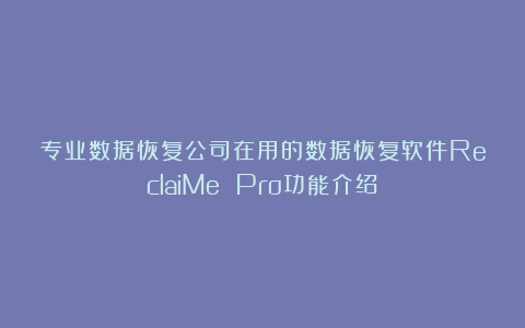 专业数据恢复公司在用的数据恢复软件ReclaiMe Pro功能介绍