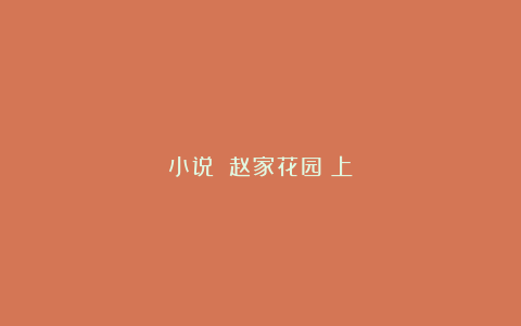 小说||赵家花园（上）