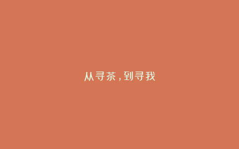 从寻茶，到寻我