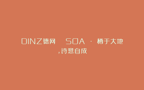 DINZ德网 | SOA · 栖于大地，诗意自成