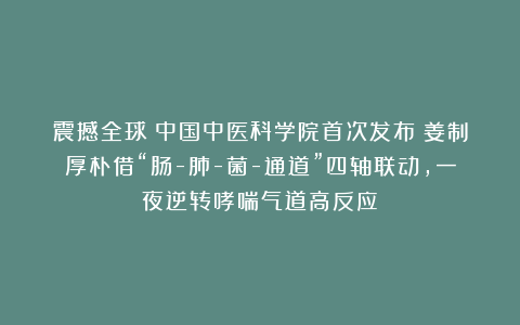 震撼全球！中国中医科学院首次发布：姜制厚朴借“肠-肺-菌-通道”四轴联动，一夜逆转哮喘气道高反应！
