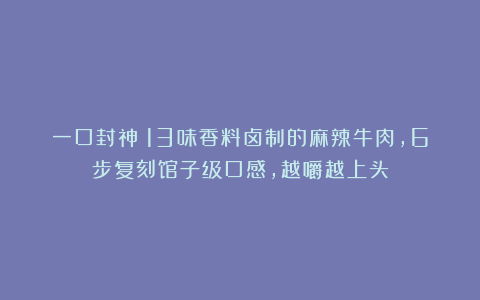 一口封神!13味香料卤制的麻辣牛肉,6步复刻馆子级口感,越嚼越上头