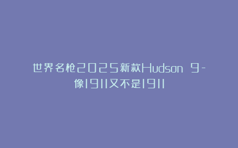 世界名枪2025新款Hudson 9-像1911又不是1911
