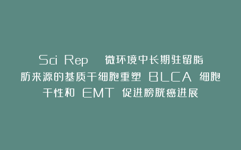 Sci Rep | 微环境中长期驻留脂肪来源的基质干细胞重塑 BLCA 细胞干性和 EMT 促进膀胱癌进展