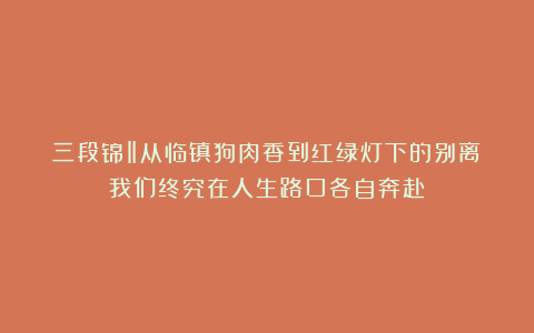 三段锦‖从临镇狗肉香到红绿灯下的别离：我们终究在人生路口各自奔赴