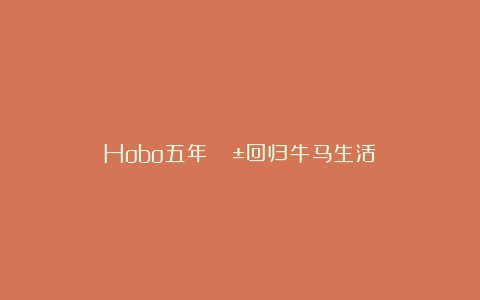 Hobo五年｜🧱回归牛马生活