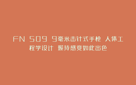 FN 509 9毫米击针式手枪 人体工程学设计 握持感竟如此出色