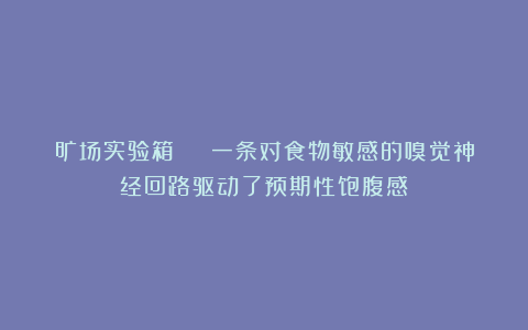 旷场实验箱 | 一条对食物敏感的嗅觉神经回路驱动了预期性饱腹感