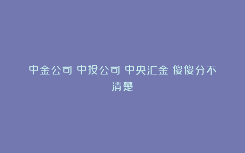 中金公司？中投公司？中央汇金？傻傻分不清楚