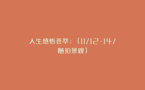 人生感悟荟萃:《》(11/12-14/随拍景观)