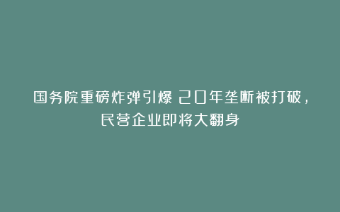 国务院重磅炸弹引爆！20年垄断被打破，民营企业即将大翻身