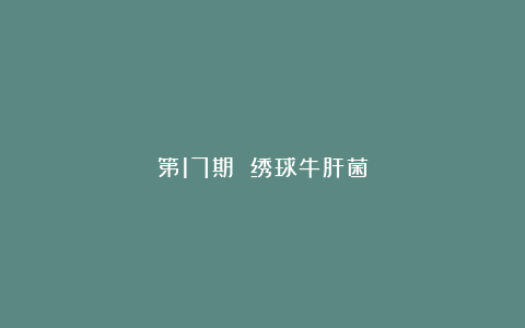 第17期 绣球牛肝菌