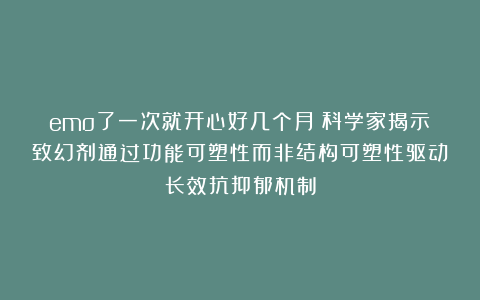 emo了一次就开心好几个月？科学家揭示致幻剂通过功能可塑性而非结构可塑性驱动长效抗抑郁机制