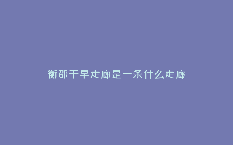 衡邵干旱走廊是一条什么走廊？