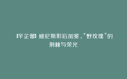 【辛芷蕾】威尼斯影后加冕，“野玫瑰”的荆棘与荣光
