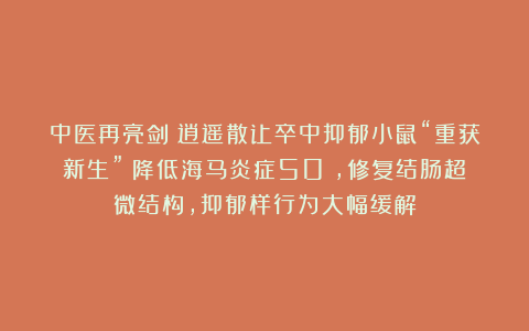 中医再亮剑！逍遥散让卒中抑郁小鼠“重获新生”：降低海马炎症50%，修复结肠超微结构，抑郁样行为大幅缓解
