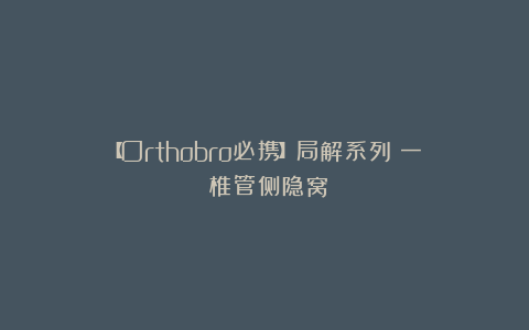 【Orthobro必携】局解系列(一):椎管侧隐窝