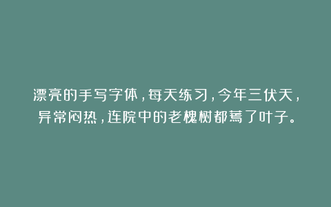 漂亮的手写字体，每天练习，今年三伏天，异常闷热，连院中的老槐树都蔫了叶子。