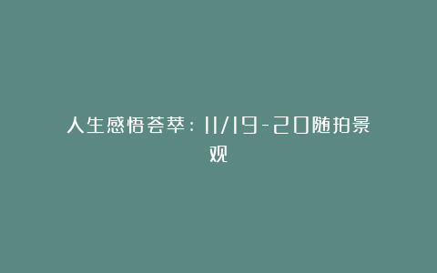 人生感悟荟萃:《11/19-20随拍景观》