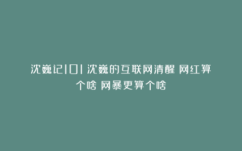 沈巍记101：沈巍的互联网清醒：网红算个啥？网暴更算个啥！