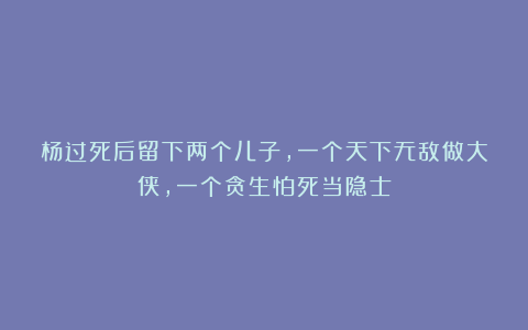杨过死后留下两个儿子,一个天下无敌做大侠,一个贪生怕死当隐士