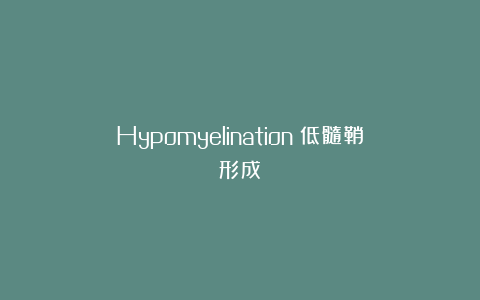 Hypomyelination(低髓鞘形成)