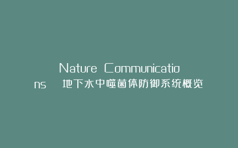 Nature Communications | 地下水中噬菌体防御系统概览