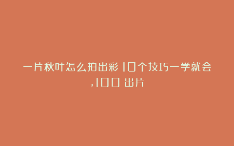 一片秋叶怎么拍出彩？10个技巧一学就会，100%出片！
