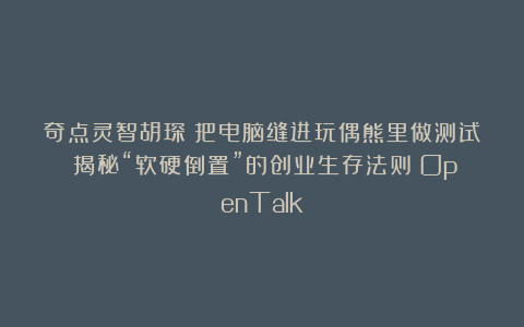 奇点灵智胡琛:把电脑缝进玩偶熊里做测试?揭秘“软硬倒置”的创业生存法则丨OpenTalk
