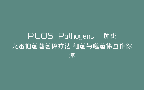 PLOS Pathogens | 肺炎克雷伯菌噬菌体疗法：细菌与噬菌体互作综述