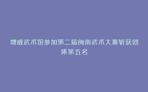 增威武术馆参加第二届闽南武术大赛斩获团体第五名