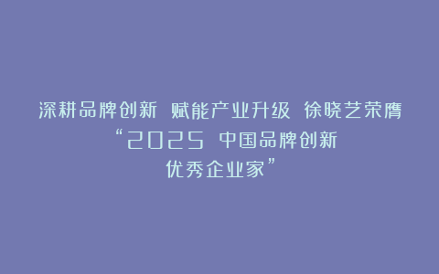 深耕品牌创新 赋能产业升级 徐晓艺荣膺 “2025 中国品牌创新优秀企业家”