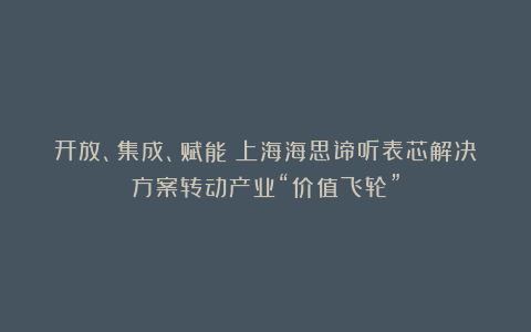 开放、集成、赋能：上海海思谛听表芯解决方案转动产业“价值飞轮”