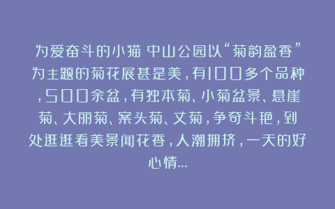 为爱奋斗的小猫：中山公园以“菊韵盈香”为主题的菊花展甚是美，有100多个品种，500余盆，有独本菊、小菊盆景、悬崖菊、大丽菊、案头菊、丈菊，争奇斗艳，到处逛逛看美景闻花香，人潮拥挤，一天的好心情…