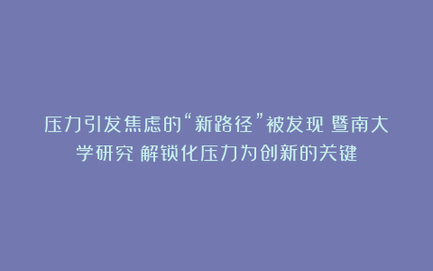压力引发焦虑的“新路径”被发现！暨南大学研究：解锁化压力为创新的关键