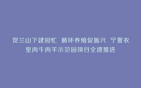 贺兰山下建园忙 循环养殖促振兴 宁夏农垦肉牛肉羊示范园项目全速推进