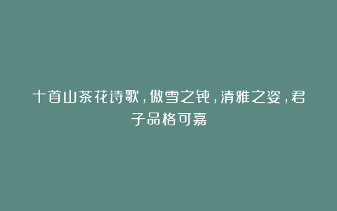 十首山茶花诗歌，傲雪之骨，清雅之姿，君子品格可嘉