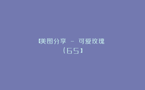 【美图分享 – 可爱玫瑰 (65）】