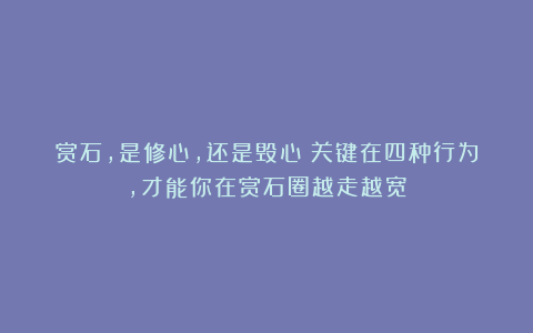 赏石，是修心，还是毁心？关键在四种行为，才能你在赏石圈越走越宽