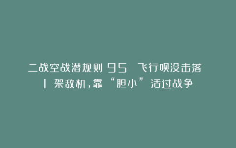 二战空战潜规则:95% 飞行员没击落 1 架敌机,靠 “胆小” 活过战争