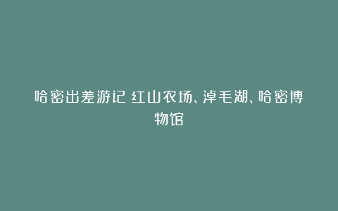 哈密出差游记：红山农场、淖毛湖、哈密博物馆