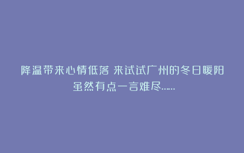 降温带来心情低落？来试试广州的冬日暖阳！虽然有点一言难尽……