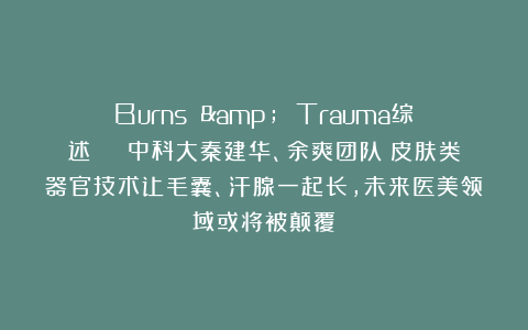 Burns & Trauma综述 | 中科大秦建华、余爽团队：皮肤类器官技术让毛囊、汗腺一起长，未来医美领域或将被颠覆！