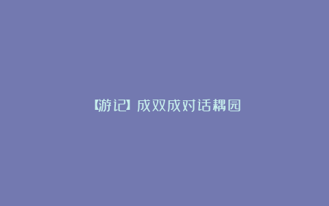 【游记】成双成对话耦园