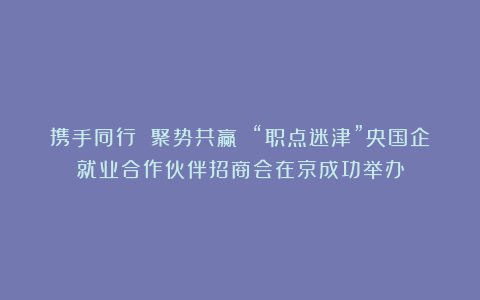 携手同行 聚势共赢 “职点迷津”央国企就业合作伙伴招商会在京成功举办