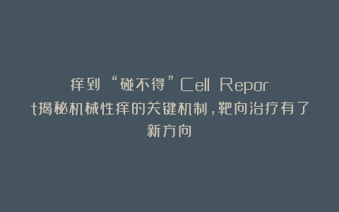 痒到 “碰不得”？Cell Report揭秘机械性痒的关键机制，靶向治疗有了新方向！