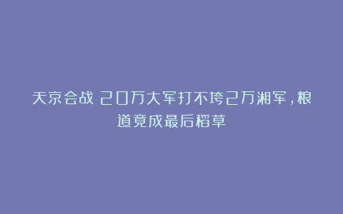 天京会战！20万大军打不垮2万湘军，粮道竟成最后稻草！