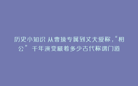 历史小知识：从曹操专属到丈夫爱称，“相公” 千年演变藏着多少古代称谓门道？