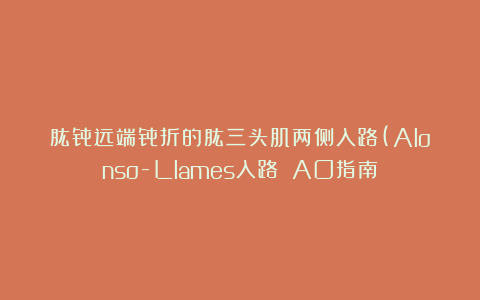 肱骨远端骨折的肱三头肌两侧入路(Alonso-Llames入路）︱AO指南