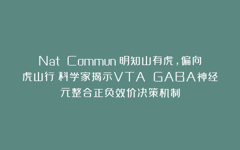 Nat Commun：明知山有虎，偏向虎山行！科学家揭示VTA GABA神经元整合正负效价决策机制
